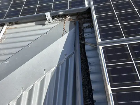 Dry palm fronds and grass in the channel between two groups of solar panels, pushed in under the edge of the panels