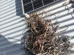 A nest of dry grass on a metal roof, next to the corner of a solar panel