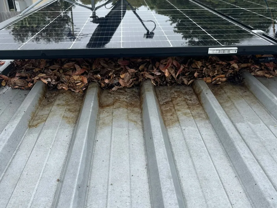 Dry leaves packed under the bottom edge of a row of solar panels on a metal roof, with rust coloured stains running down the roof sheets below