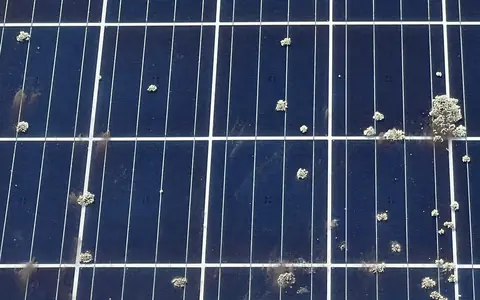 Close up of a solar panel before the clean, with spots of lichen on the cells