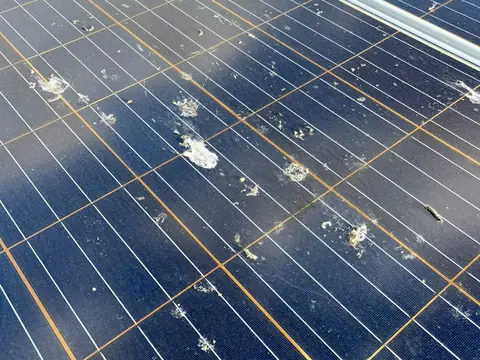 Close up of a solar panel with white bird droppings spread across the cells