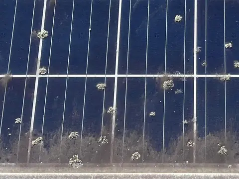 Close up of grey green lichen and a band of dirt along the bottom edge of a solar panel