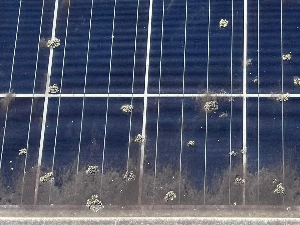 Close up of grey green lichen and a band of dirt along the bottom edge of a solar panel
