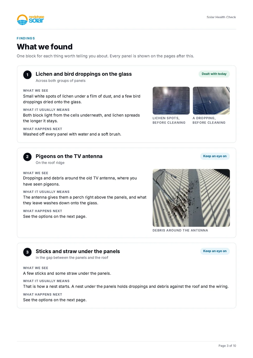 Findings page of a real Solar Health Check report, listing lichen on the glass and pigeons on the TV antenna